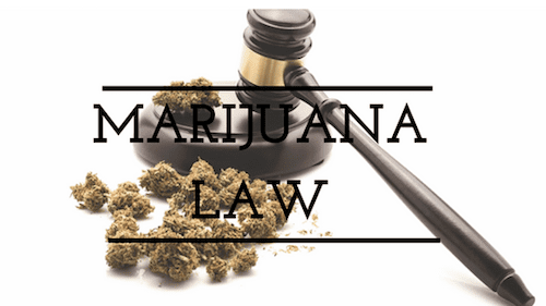 Nashville’s Metro Council Makes a Decision on Marijuana Law